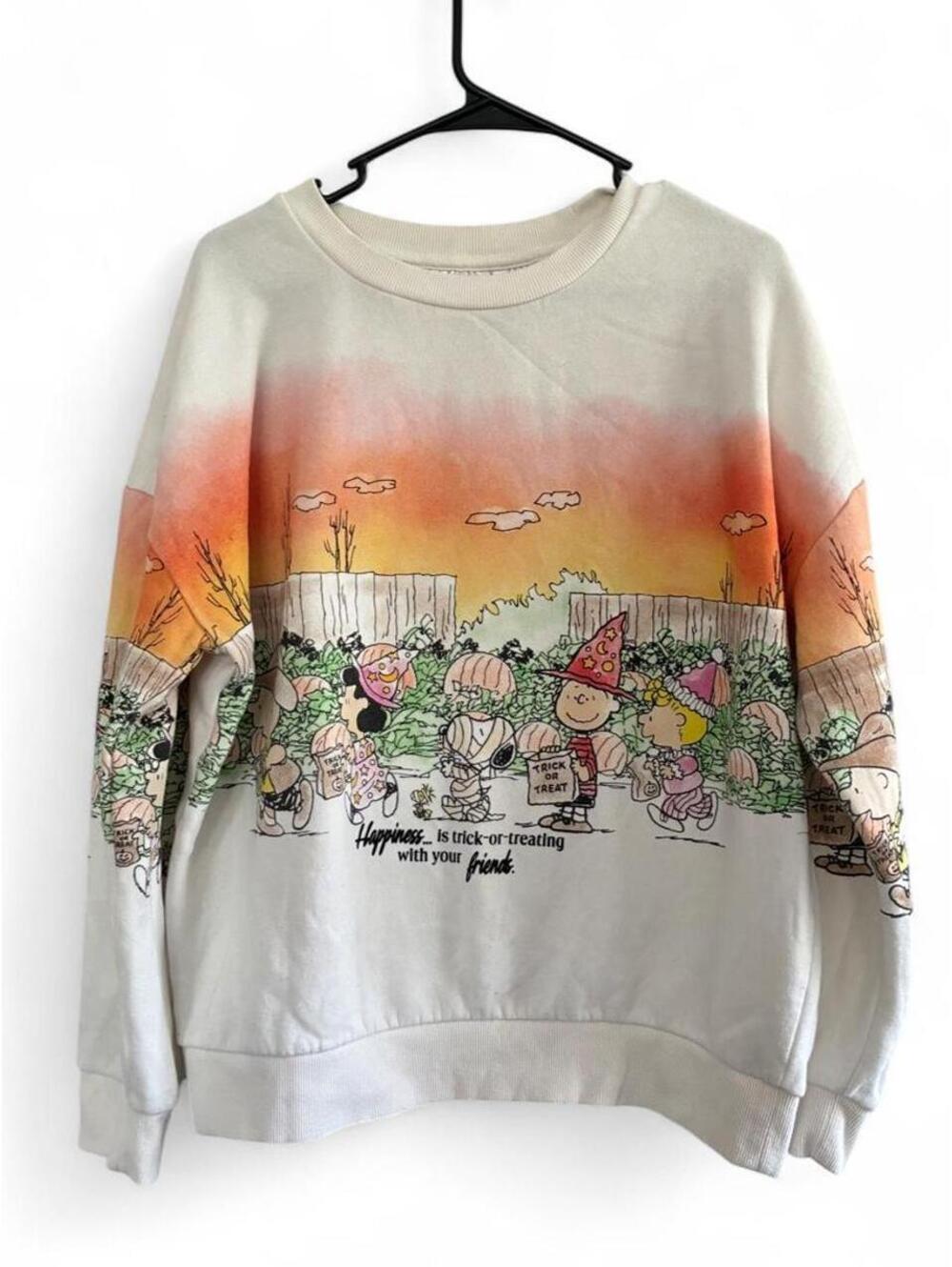 Rare Charli brown pull overPeanuts Men's Multi and White Sweatshirt